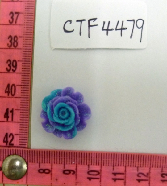 CTF4479