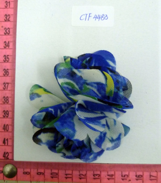 CTF4483