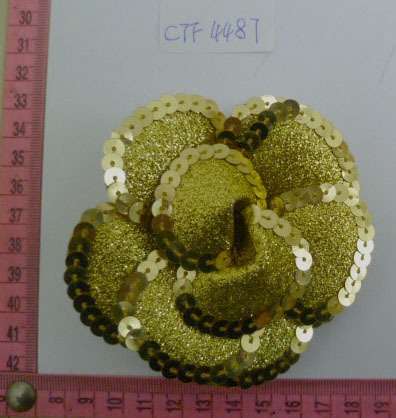 CTF4487