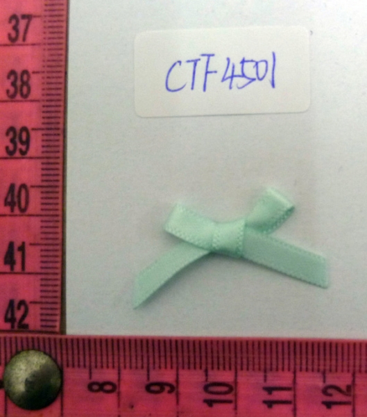 CTF4501