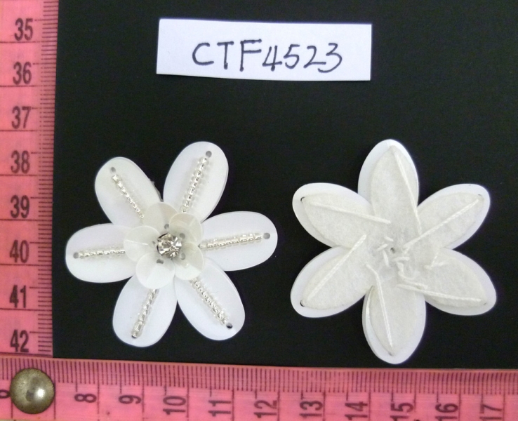 CTF4523
