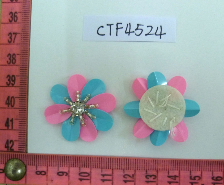 CTF4524