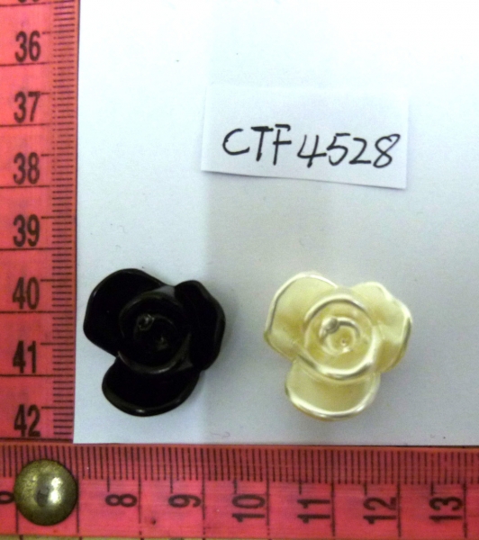 CTF4528