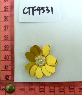 CTF4531