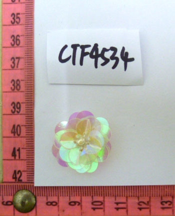 CTF4534