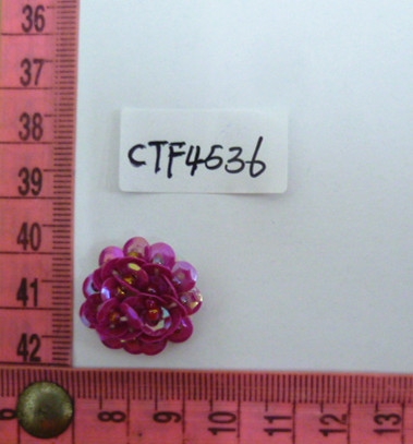 CTF4536