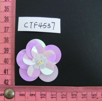 CTF4537