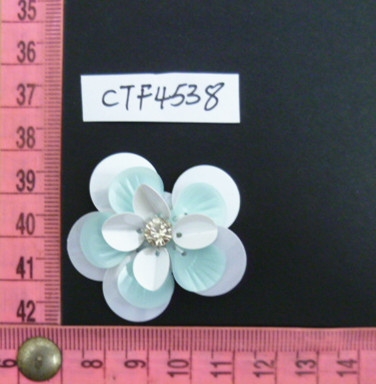 CTF4538