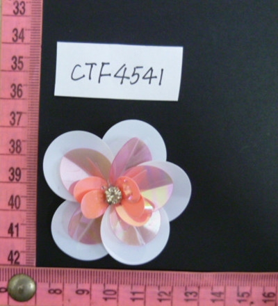CTF4541