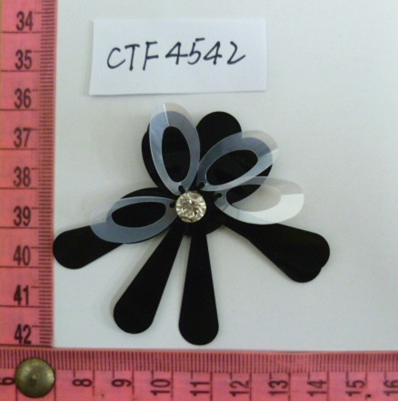 CTF4542