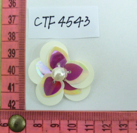 CTF4543