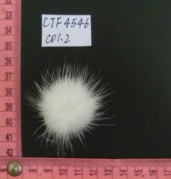 CTF4546