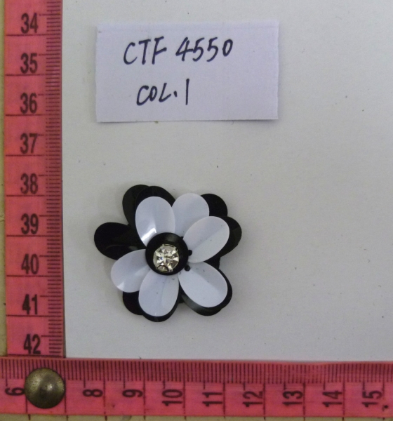 CTF4550
