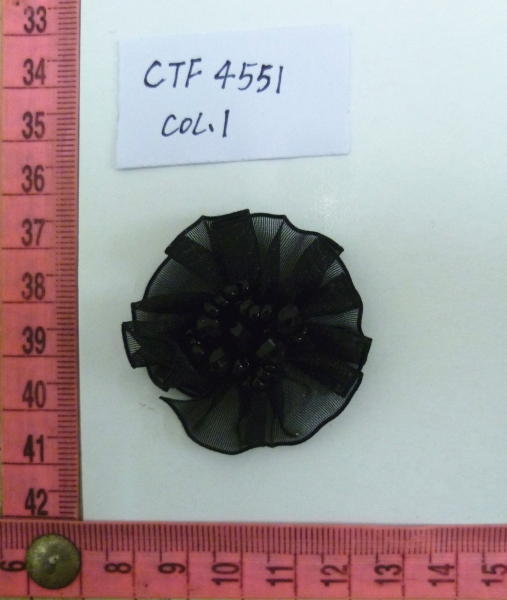 CTF4551
