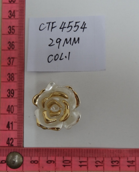 CTF4554