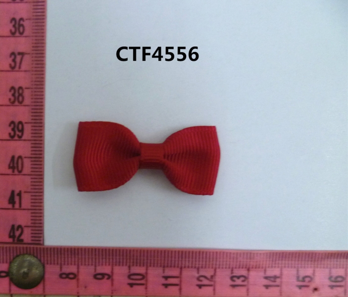 CTF4556