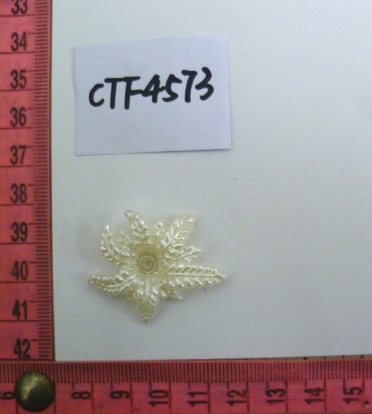 CTF4573