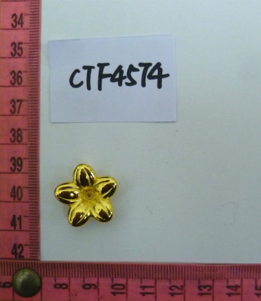 CTF4574