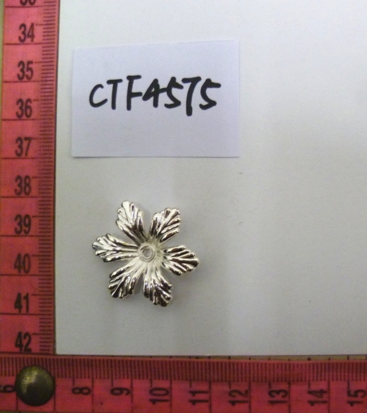 CTF4575