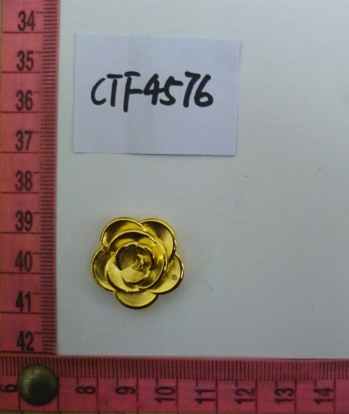 CTF4576
