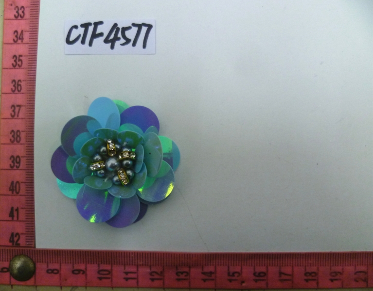CTF4577