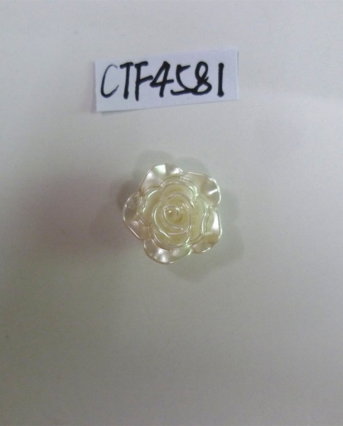 CTF4581
