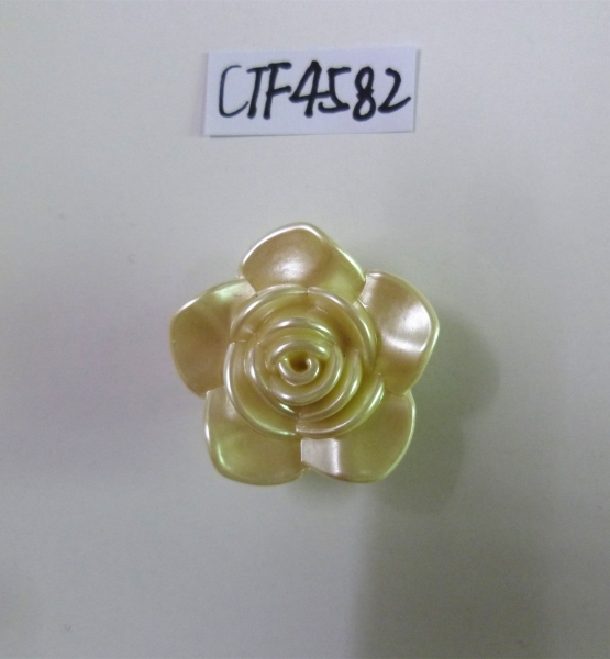 CTF4582