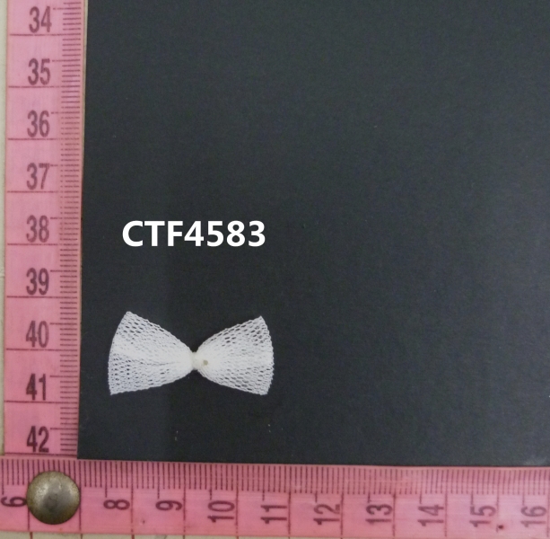 CTF4583