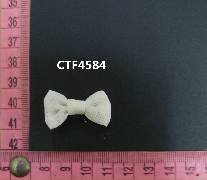CTF4584