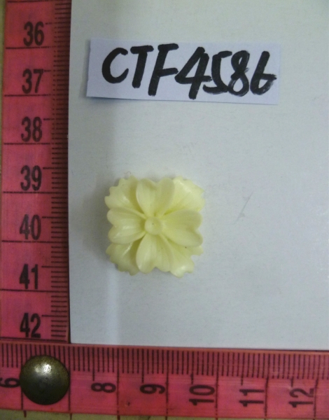 CTF4586