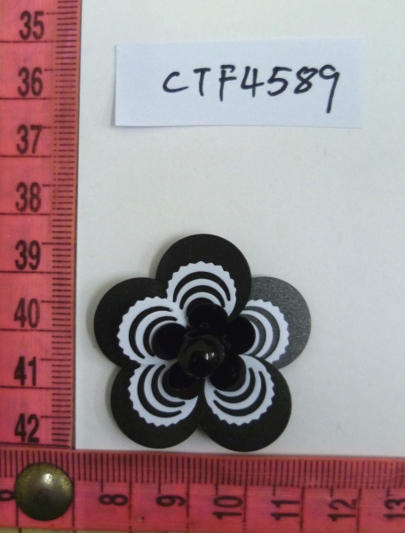 CTF4589
