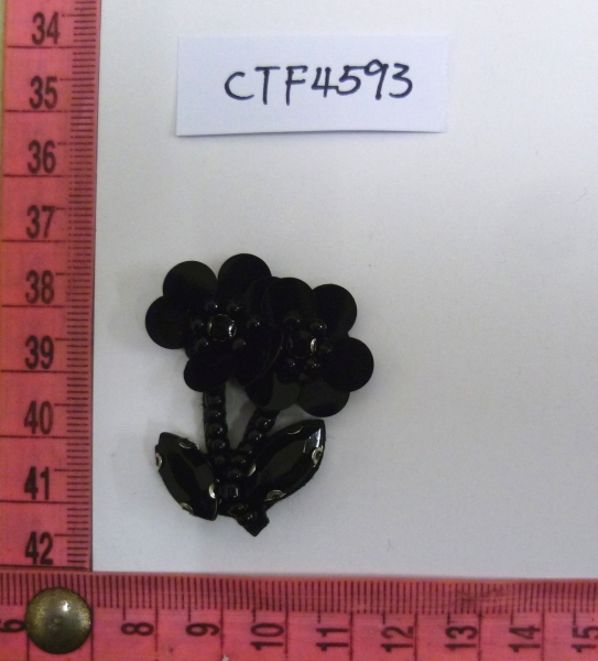 CTF4593