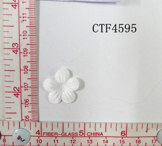 CTF4595