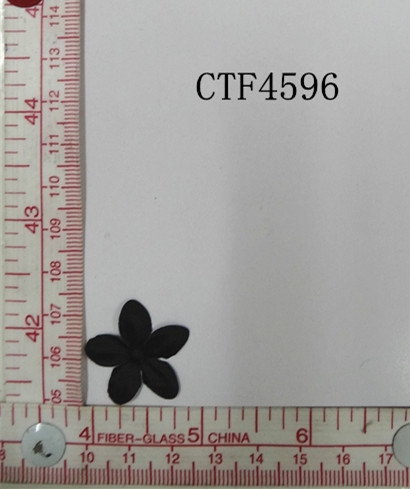 CTF4596