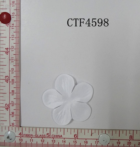 CTF4598