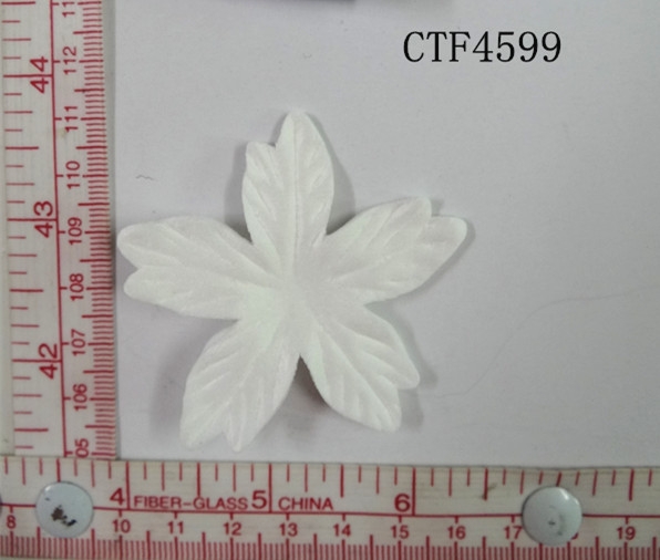 CTF4599