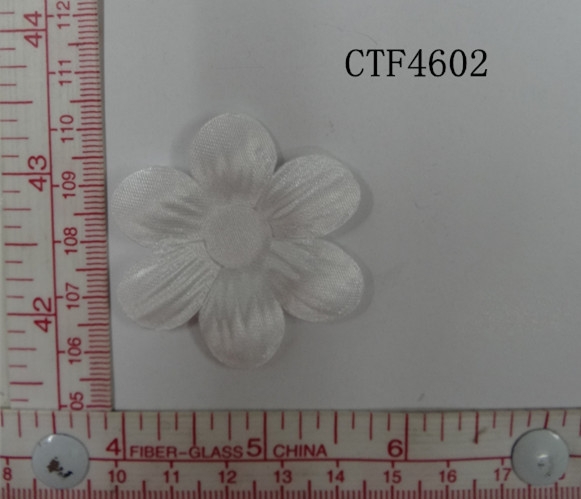 CTF4602
