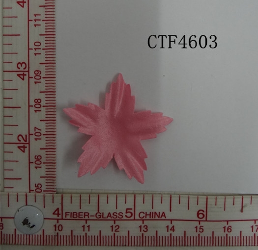 CTF4603