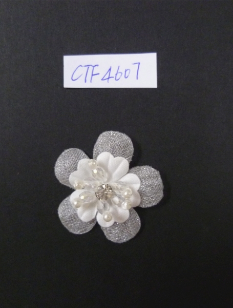 CTF4607