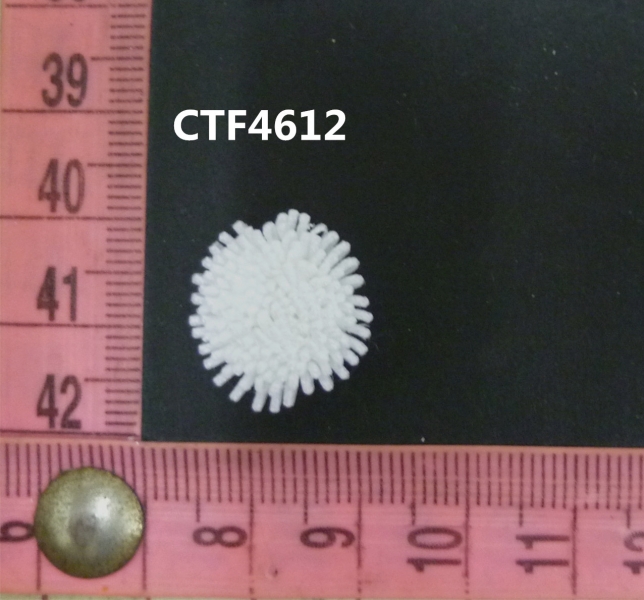 CTF4612