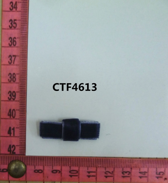 CTF4613