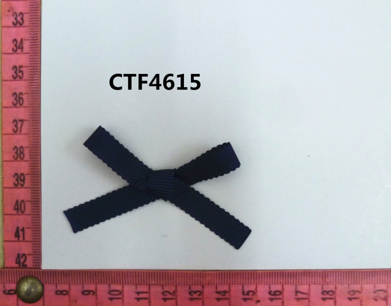 CTF4615