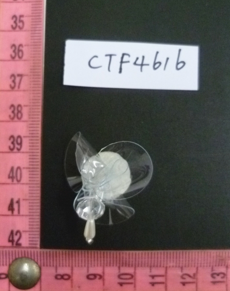 CTF4616