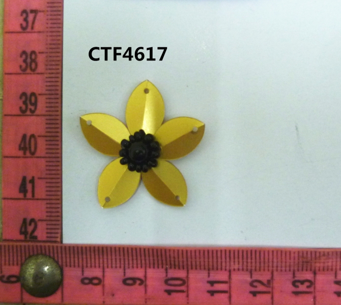 CTF4617