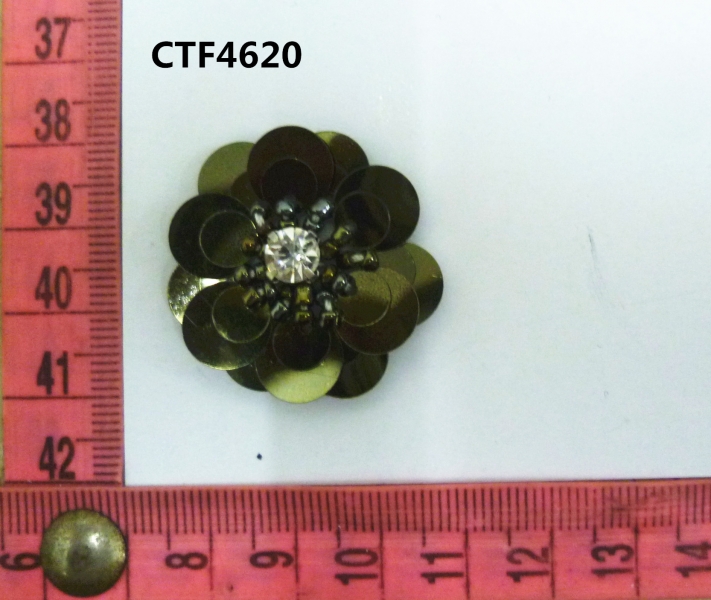 CTF4620