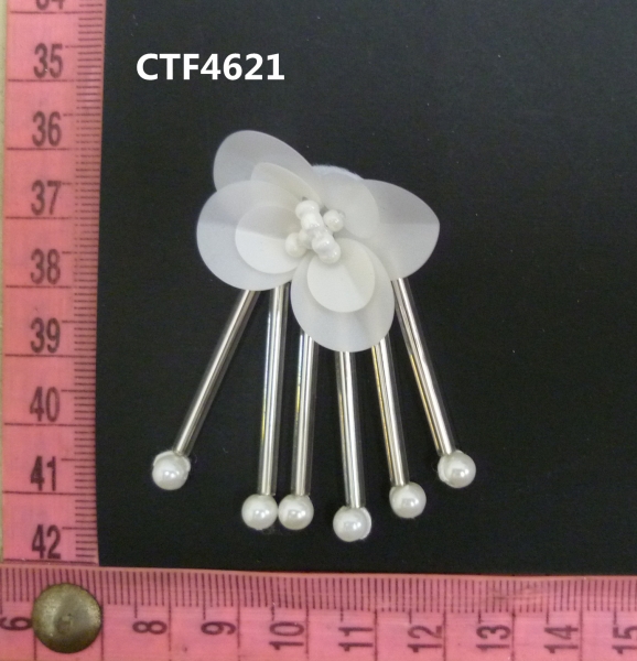CTF4621