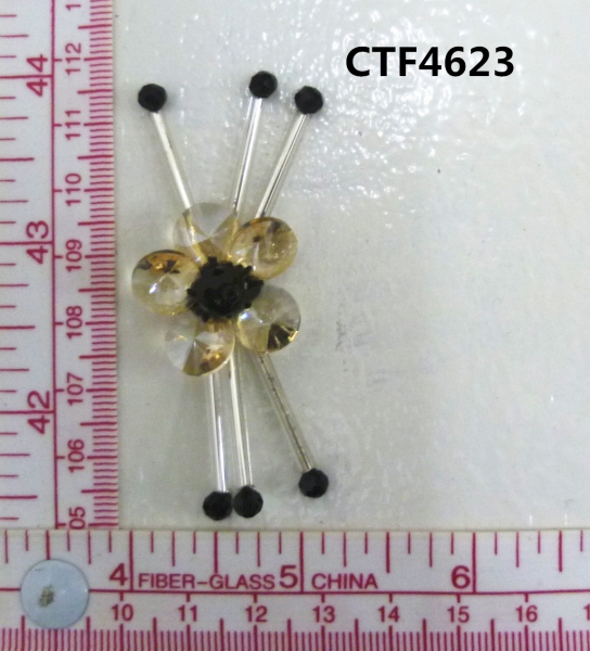 CTF4623