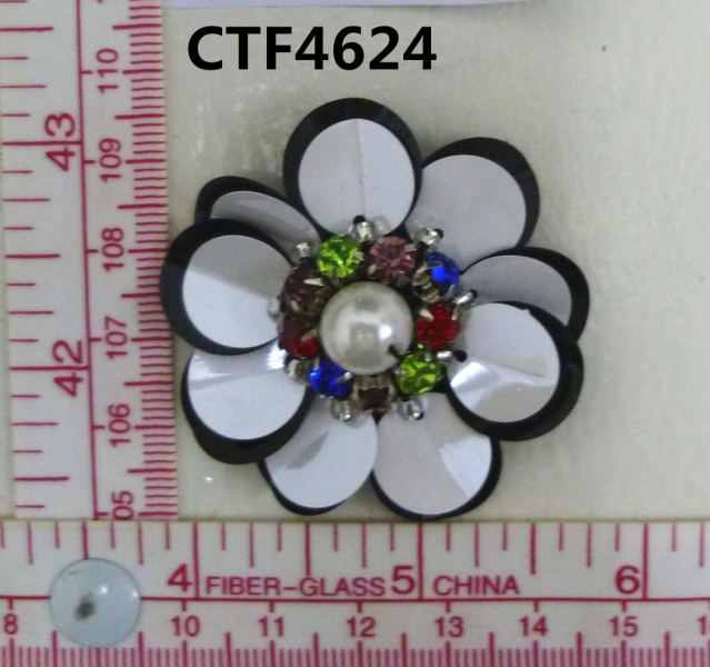 CTF4624
