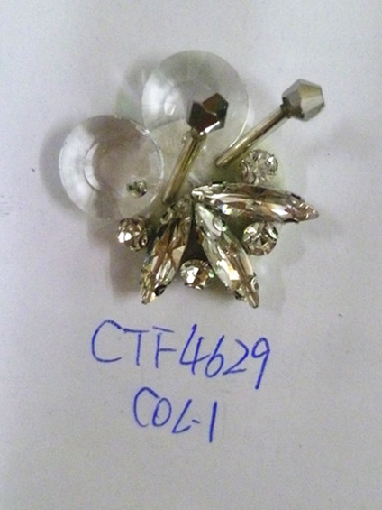 CTF4629
