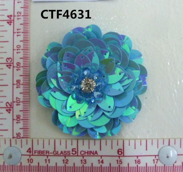 CTF4631